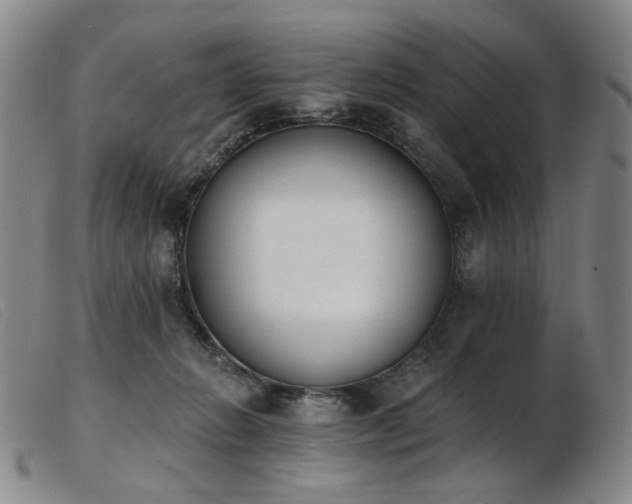 X0000103910270200809191309