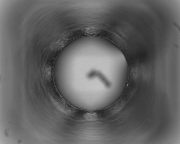 X0000103910271200809191309