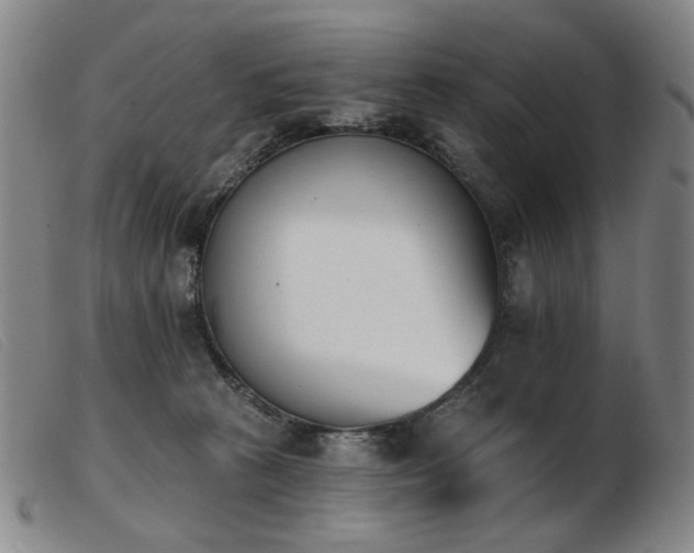 X0000103910273200809191309