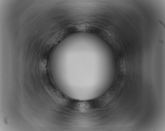 X0000103910275200809191309