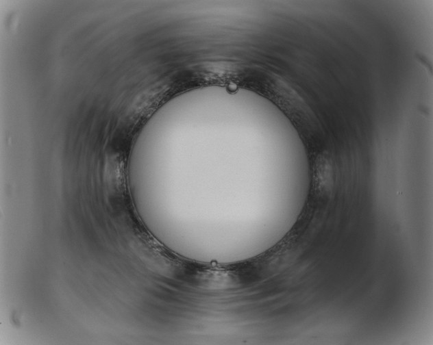 X0000103910276200809191309