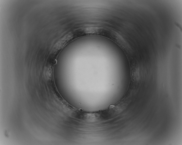 X0000103910277200809191309