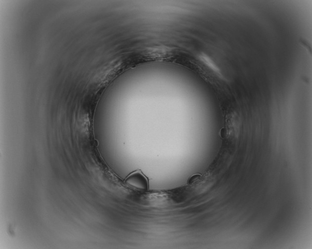 X0000103910279200809191309