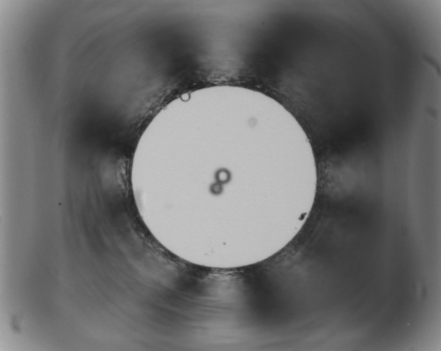 X0000103910280200809191309