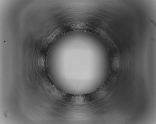 X0000103910282200809191309