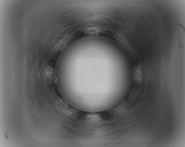 X0000103910283200809191309