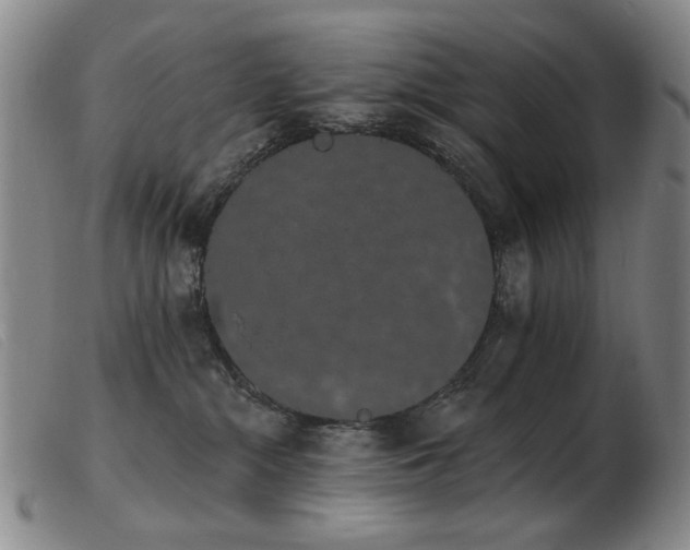 X0000103910284200809191309