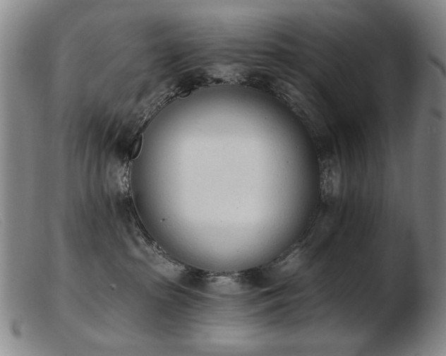 X0000103910285200809191309