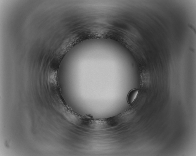 X0000103910286200809191309