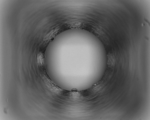 X0000103910287200809191309