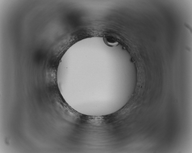 X0000103910288200809191309