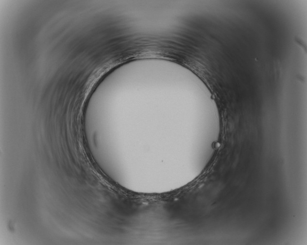 X0000103910289200809191308