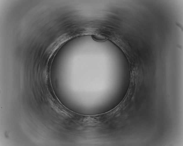 X0000103910290200809191308