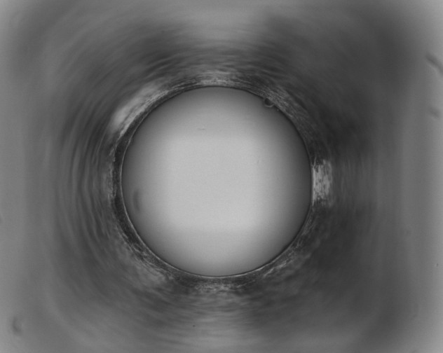 X0000103910291200809191308
