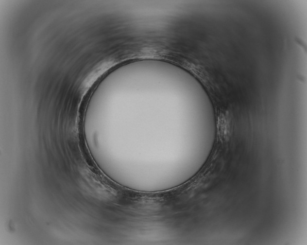 X0000103910292200809191308