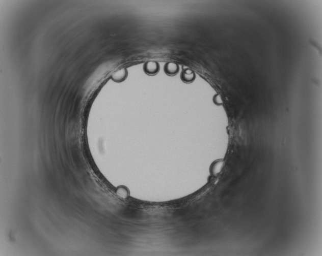 X0000103910293200809191308