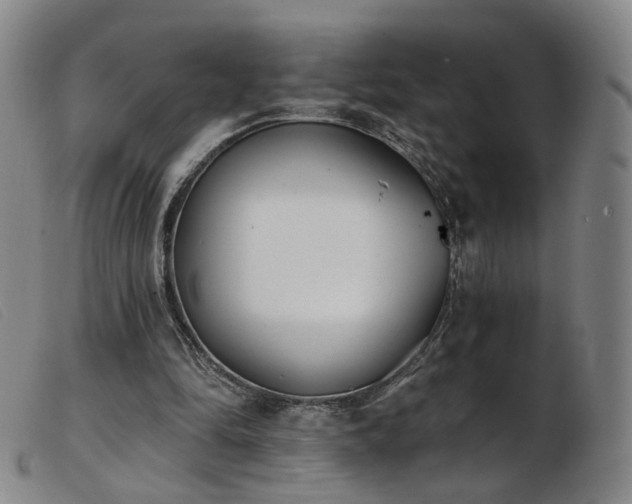 X0000103910294200809191308