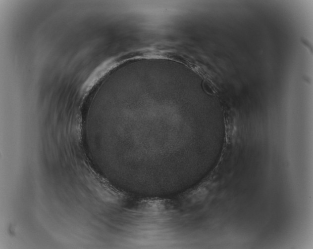 X0000103910295200809191308