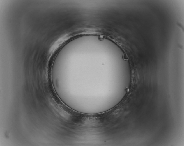 X0000103910296200809191308