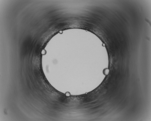 X0000103910297200809191308