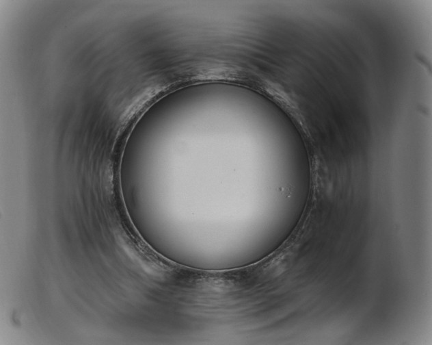 X0000103910298200809191308