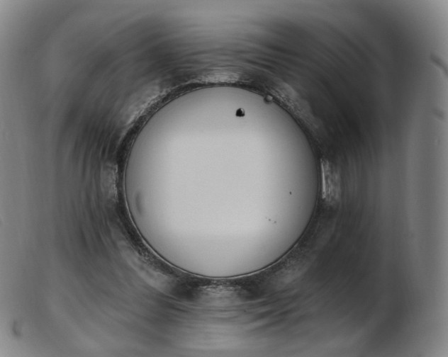 X0000103910300200809191308