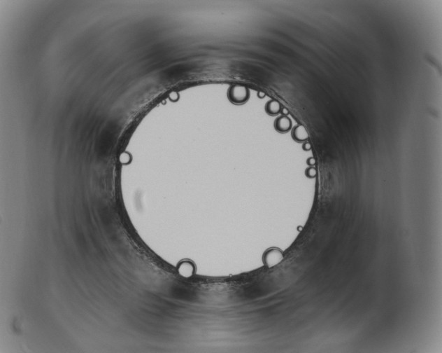 X0000103910301200809191308
