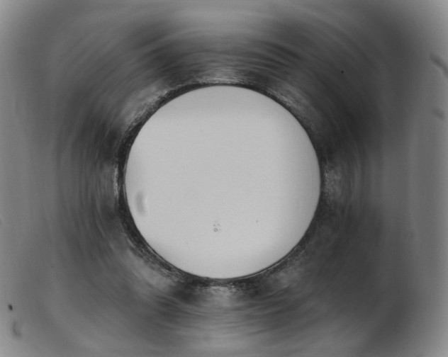 X0000103910302200809191308