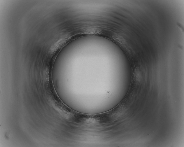 X0000103910303200809191308