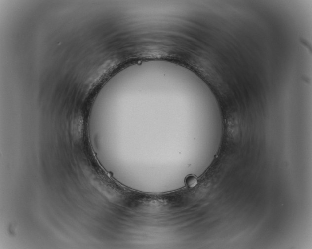 X0000103910304200809191308
