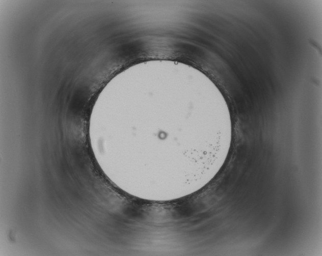 X0000103910305200809191308