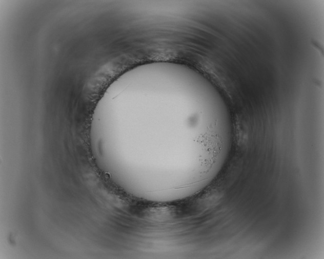 X0000103910307200809191308