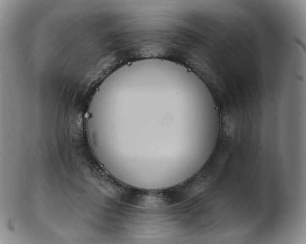 X0000103910308200809191308