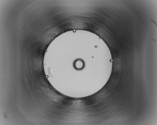 X0000103910309200809191308