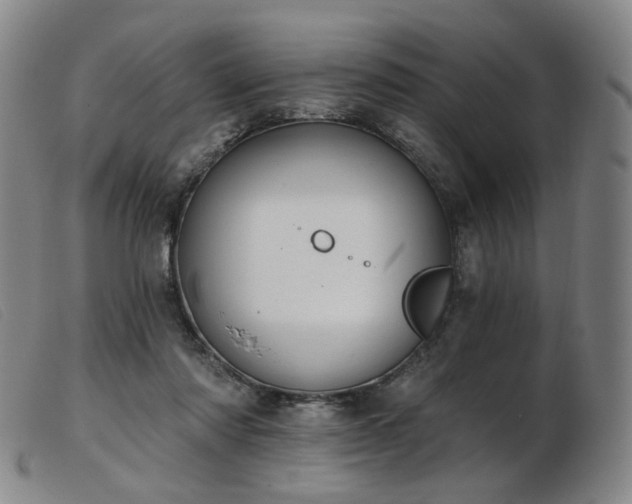 X0000103910310200809191308