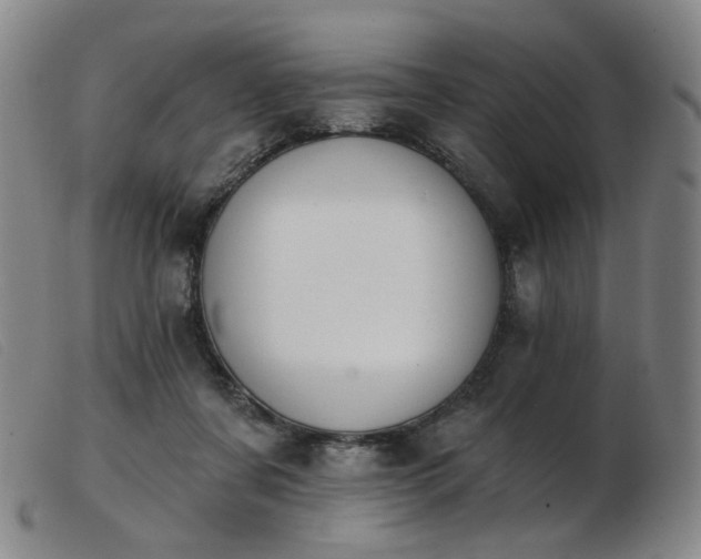 X0000103910311200809191308
