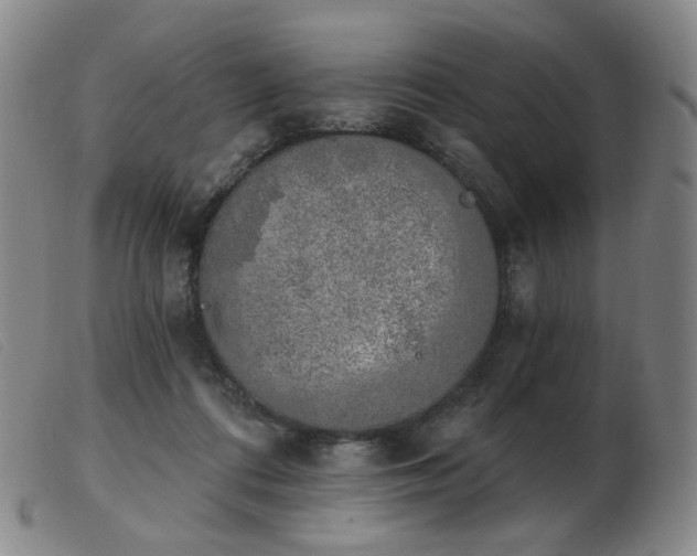 X0000103910312200809191308