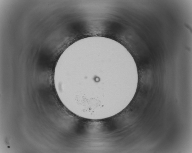 X0000103910313200809191308