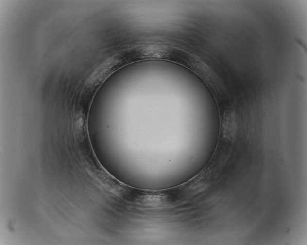 X0000103910314200809191308