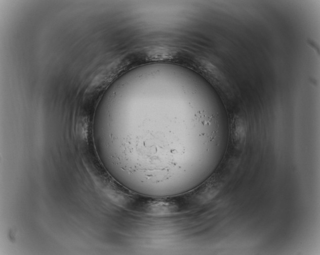 X0000103910315200809191308