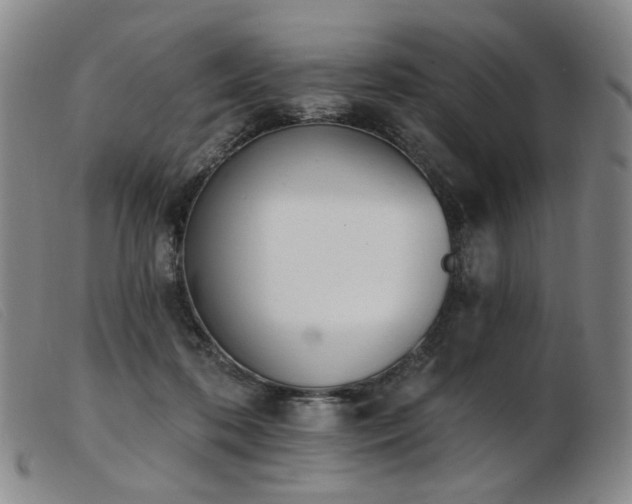 X0000103910316200809191308