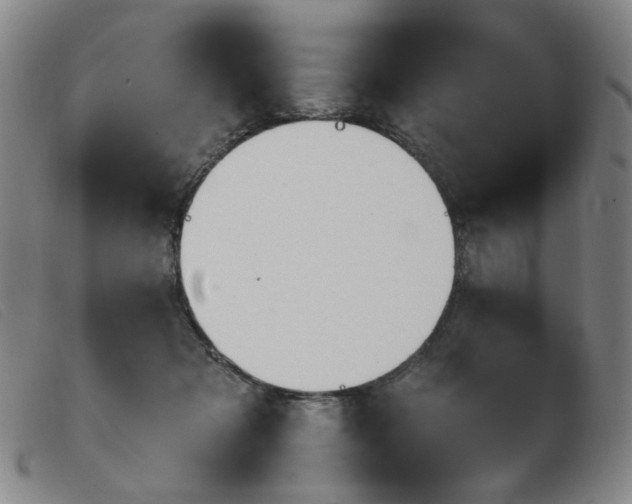 X0000103910317200809191308