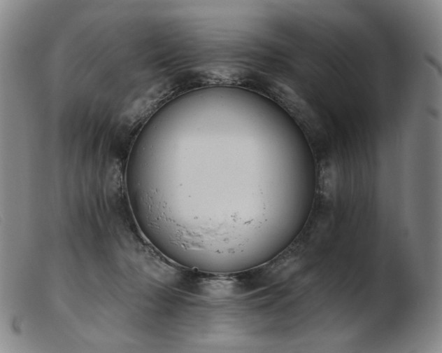 X0000103910318200809191308