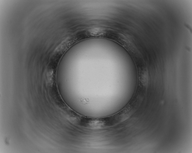 X0000103910319200809191308