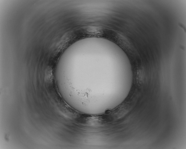 X0000103910320200809191308