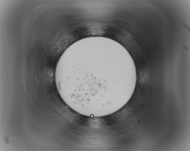 X0000103910321200809191308