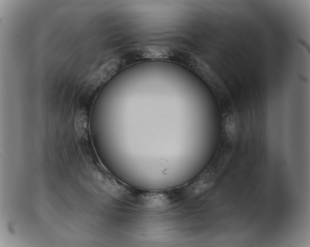 X0000103910322200809191308