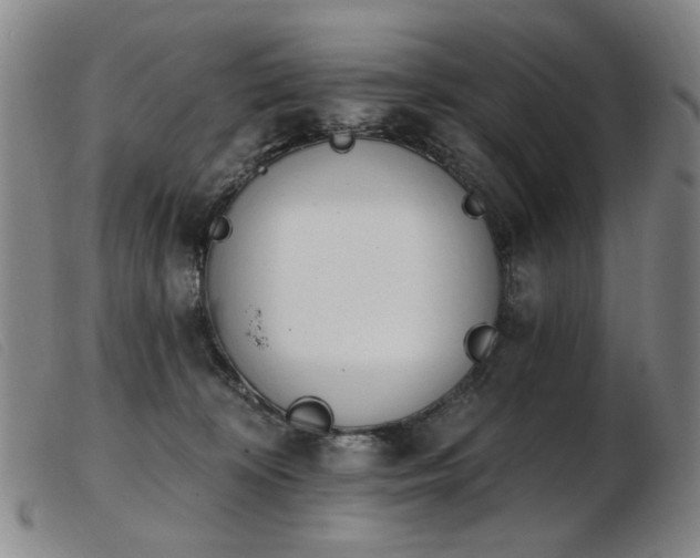 X0000103910324200809191308