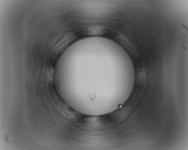 X0000103910325200809191308