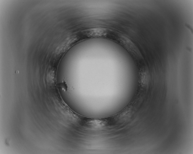 X0000103910326200809191308